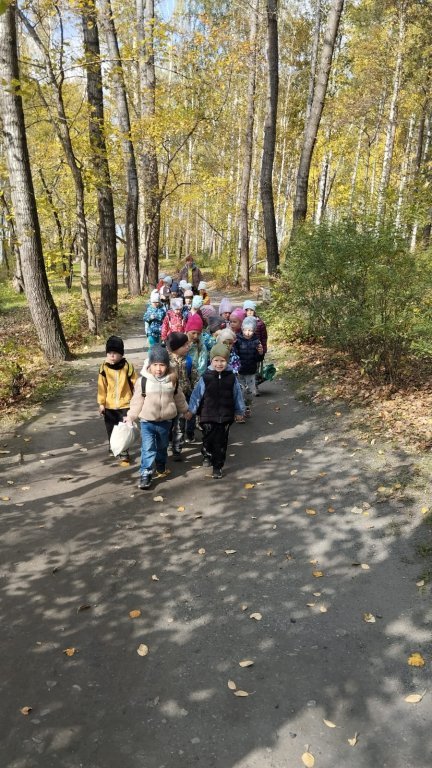 WhatsApp Image 2025-09-20 at 15.jpeg